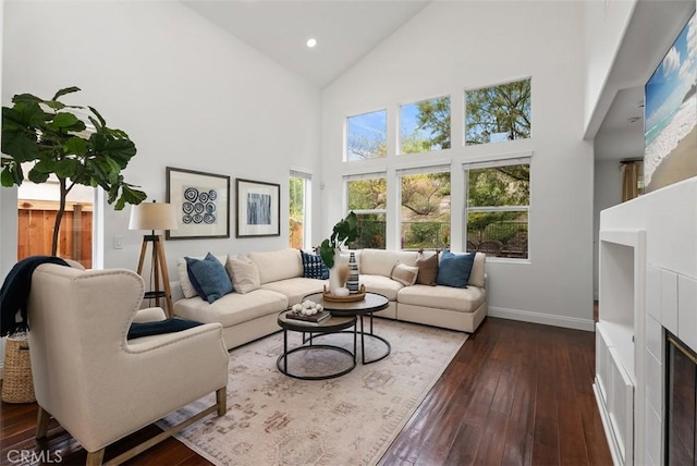 living room featuring high vaulted ceiling and dark hardwood / wood-style flooring