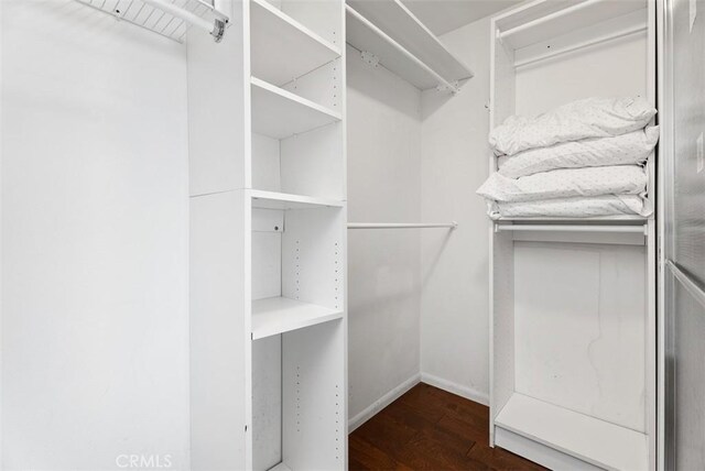 spacious closet featuring dark hardwood / wood-style floors