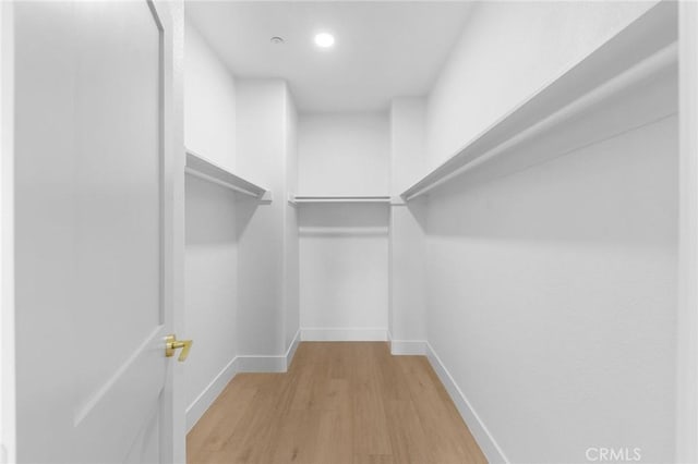 walk in closet with light wood-type flooring