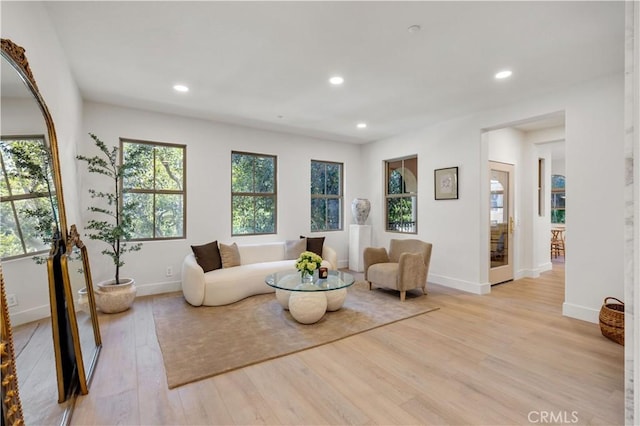 living room with light hardwood / wood-style floors and a wealth of natural light