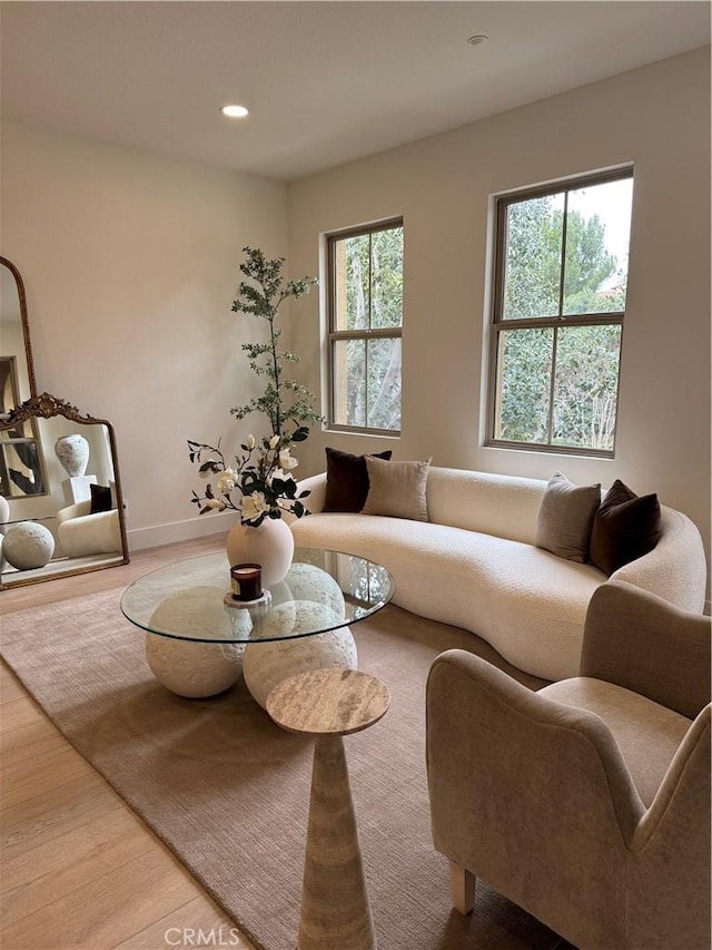 living room featuring wood-type flooring