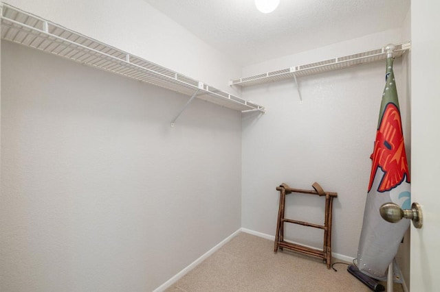 walk in closet with carpet