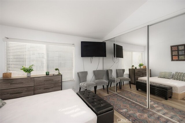 bedroom featuring vaulted ceiling, hardwood / wood-style floors, and a closet