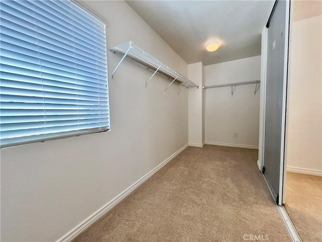 walk in closet featuring light carpet