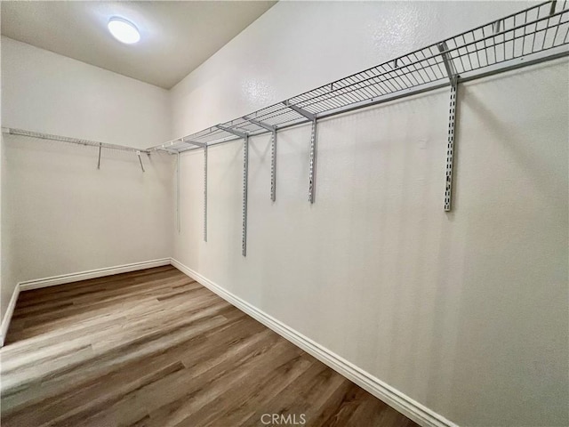 walk in closet with wood-type flooring