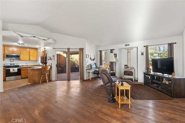 living room with lofted ceiling, dark hardwood / wood-style floors, and a wood stove