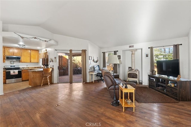 living room with lofted ceiling, wood-type flooring, and a wood stove