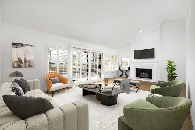 living room featuring wood-type flooring and high vaulted ceiling