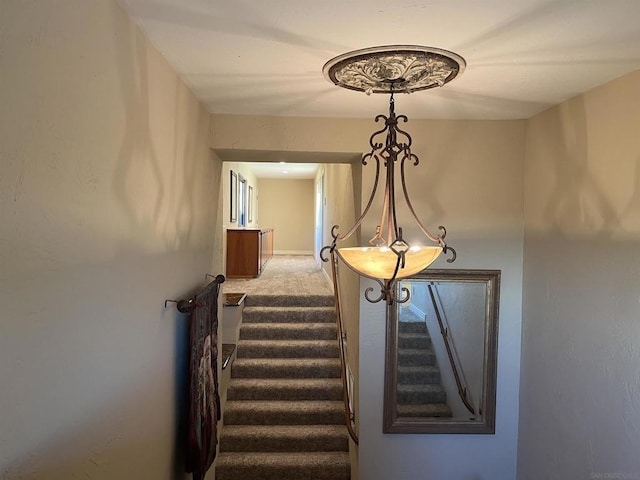 staircase with carpet floors