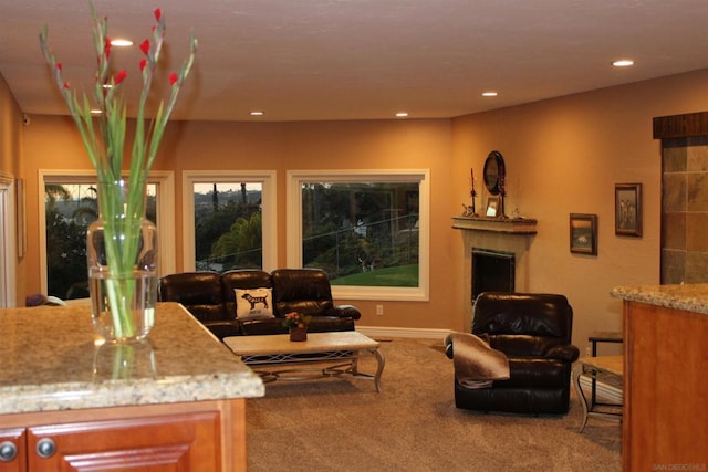 living room with carpet floors