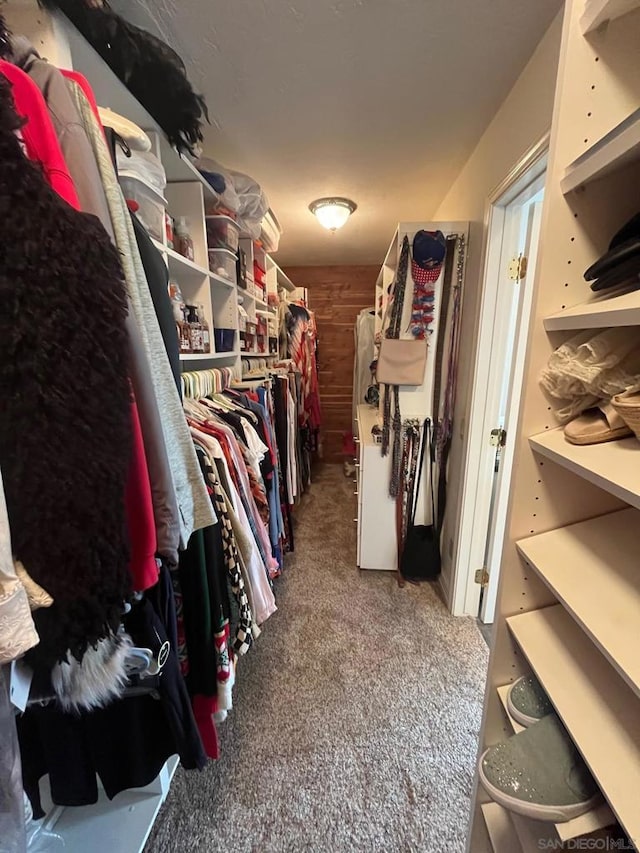 walk in closet with carpet flooring