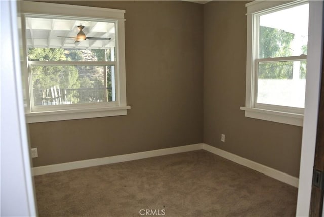 spare room featuring dark carpet