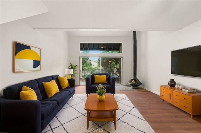 living room with hardwood / wood-style floors and a wood stove