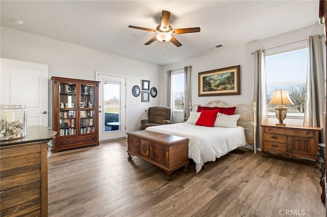 bedroom featuring multiple windows, ceiling fan, access to exterior, and dark hardwood / wood-style flooring