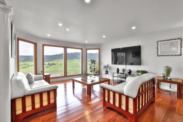 living room with light hardwood / wood-style flooring