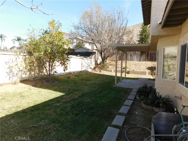 view of yard with a patio