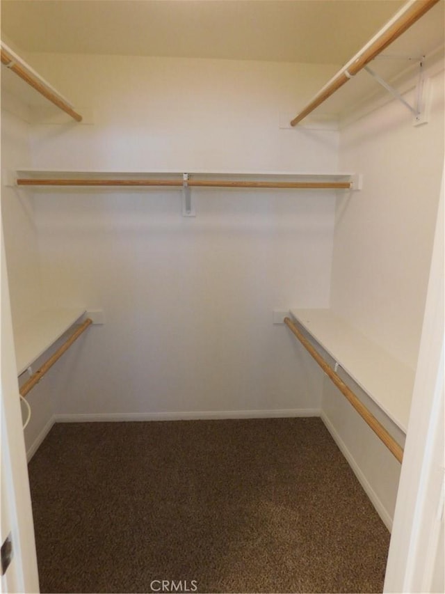 walk in closet with carpet flooring