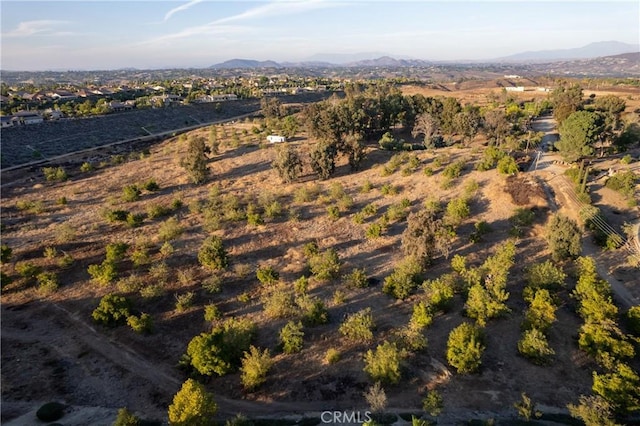 birds eye view of property featuring a mountain view