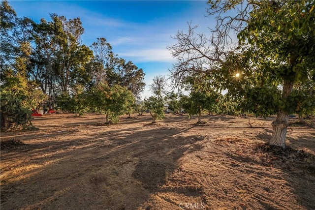 view of yard with a rural view