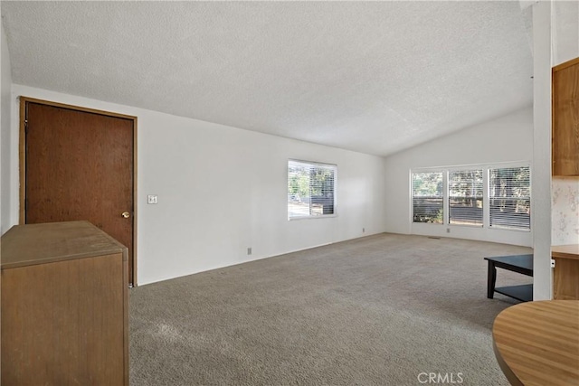 carpeted living room with vaulted ceiling, plenty of natural light, and a textured ceiling