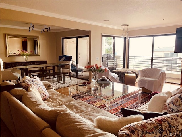 living room with ornamental molding