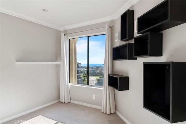 interior space with ornamental molding and carpet