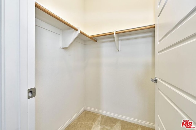 walk in closet with light carpet