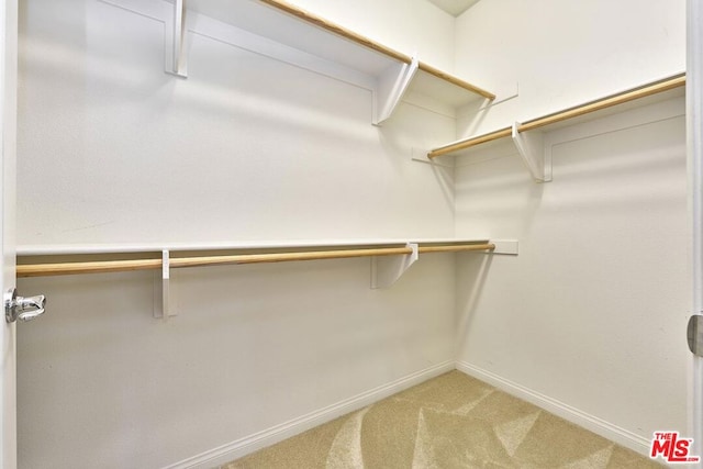 spacious closet with carpet