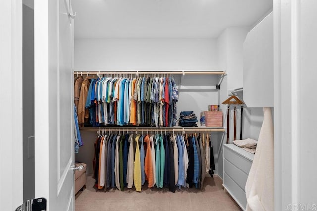 spacious closet with light carpet