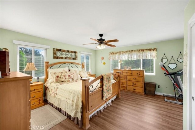 bedroom with multiple windows, light hardwood / wood-style flooring, and ceiling fan