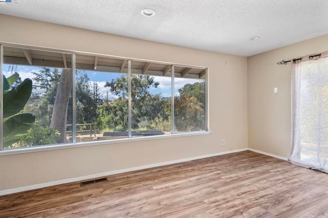 empty room with a textured ceiling, wood-type flooring, and a healthy amount of sunlight