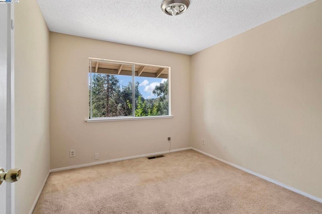 carpeted spare room with a textured ceiling