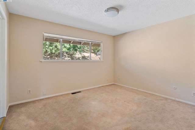 empty room featuring light colored carpet and a textured ceiling