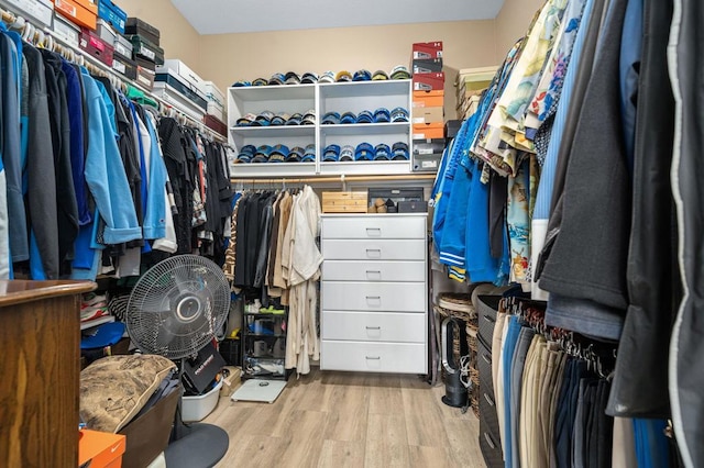 walk in closet featuring light wood-type flooring