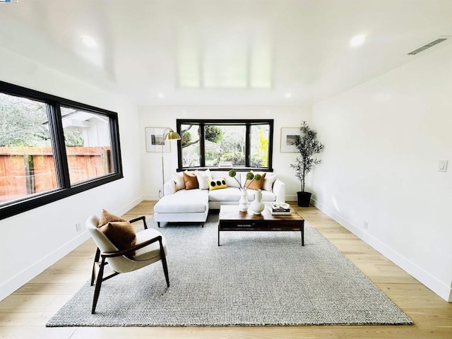 living room featuring light hardwood / wood-style floors