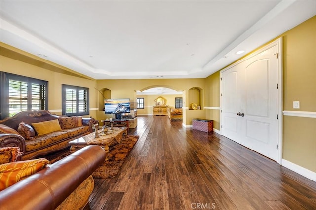 living room featuring wood-type flooring and a tray ceiling