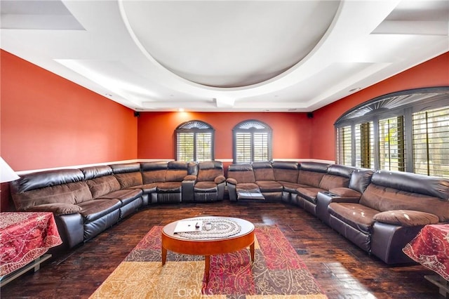 living room featuring dark hardwood / wood-style floors and a raised ceiling