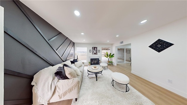 living room featuring a fireplace and hardwood / wood-style floors