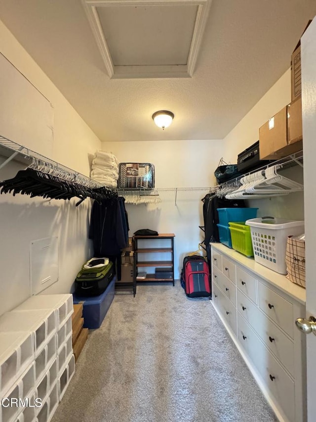 spacious closet featuring a tray ceiling