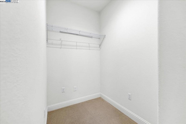 spacious closet with carpet floors