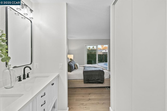 bathroom with vanity and wood-type flooring