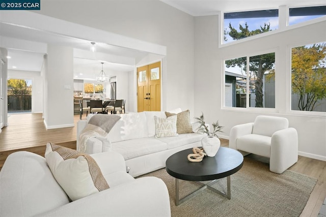 living room featuring a healthy amount of sunlight, wood-type flooring, and a chandelier