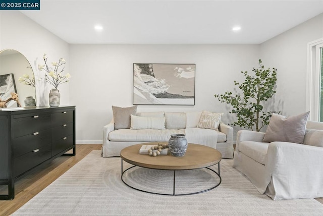 living room featuring light wood-type flooring