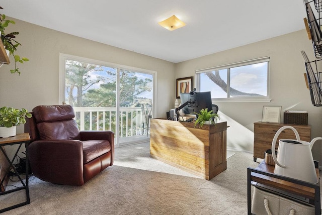 office area featuring light colored carpet