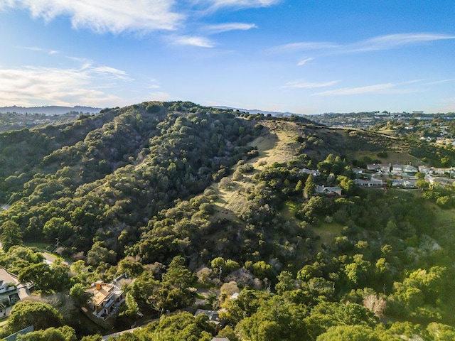 view of mountain feature