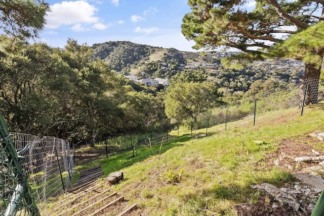 property view of mountains with a rural view