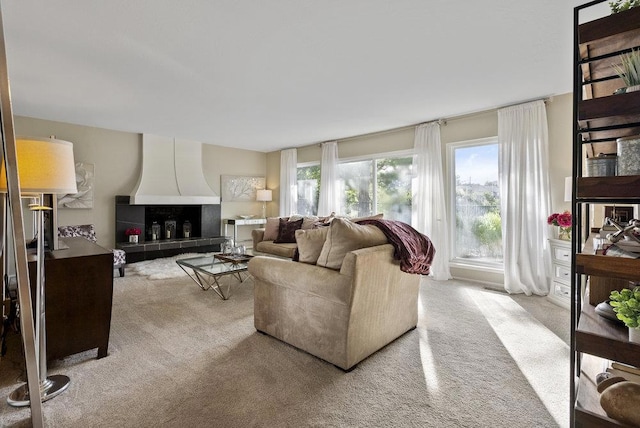 living room with light colored carpet