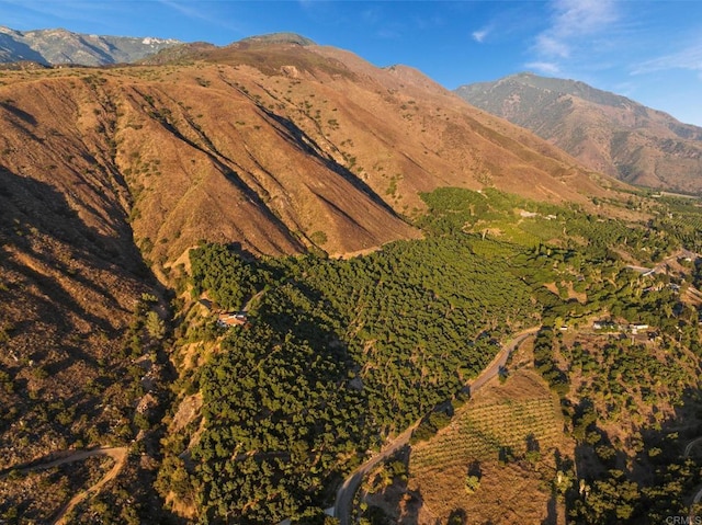 view of mountain feature