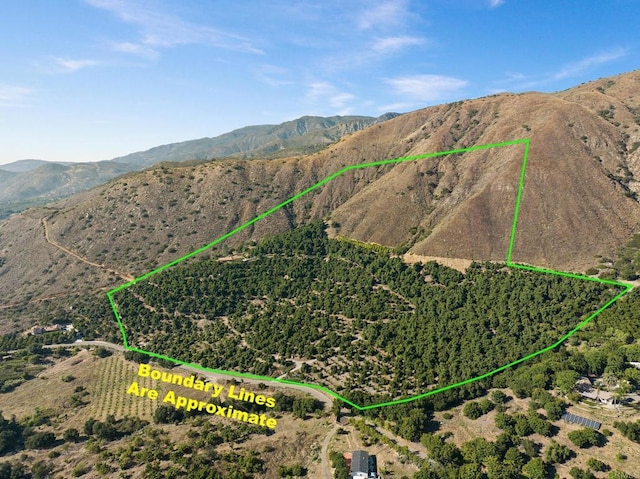 birds eye view of property with a mountain view