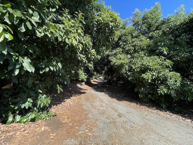 view of street